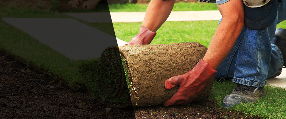 University Place Landscapers